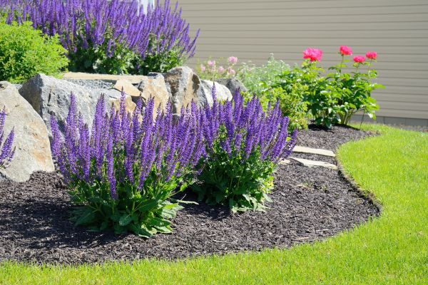 Landscape Planting Service in Plant City