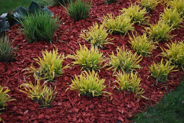 Red Mulch Installation in Plant City