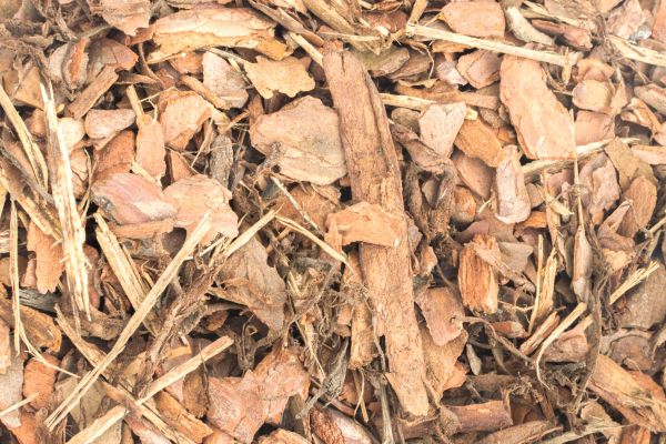 Bark Mulch Installation in Plant City
