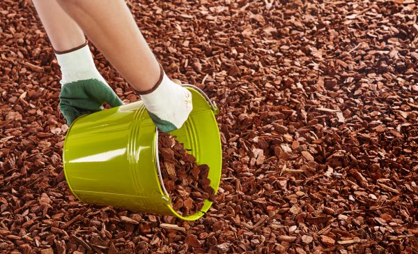 Wood Chip Landscaping in Plant City