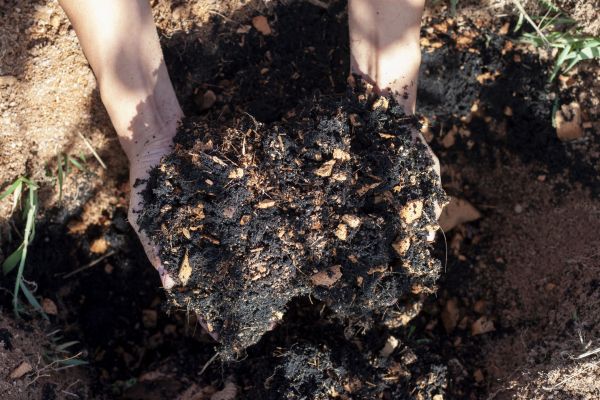 Organic Mulch Installation in Plant City