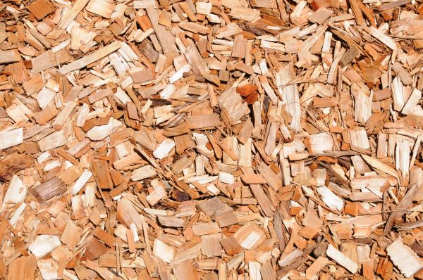 Cypress Mulch Spreading in Plant City