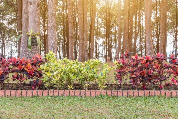 Small Garden Landscaping in Plant City
