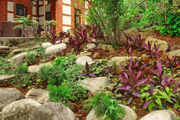 Rock Garden Landscaping in Plant City