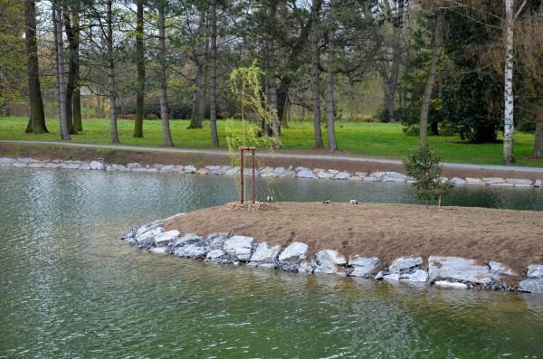 Pond Landscaping Service in Plant City