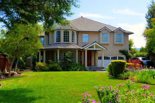 Large Yard Landscaping in Plant City