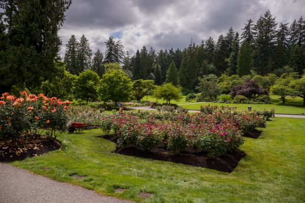 Flower Garden Landscaping in Plant City
