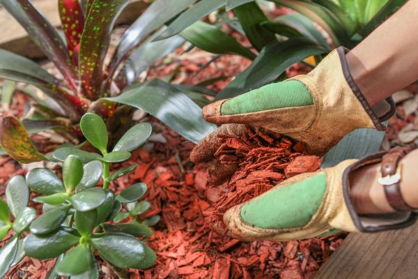 Residential Mulching in Plant City