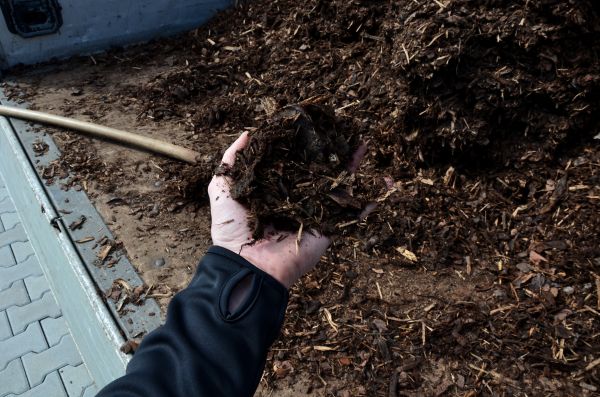 Condo Mulching in Plant City