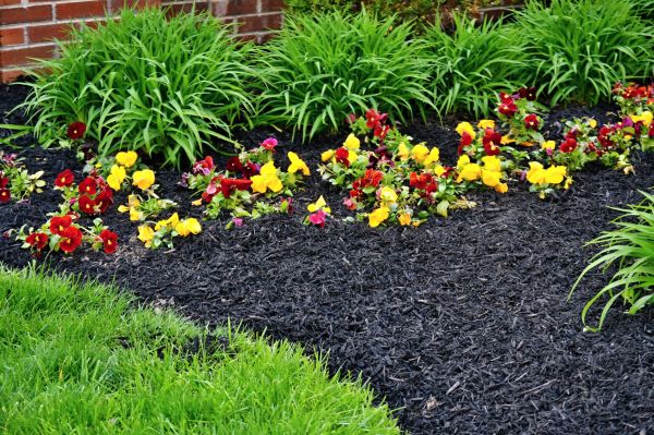 Apartment Mulching in Plant City