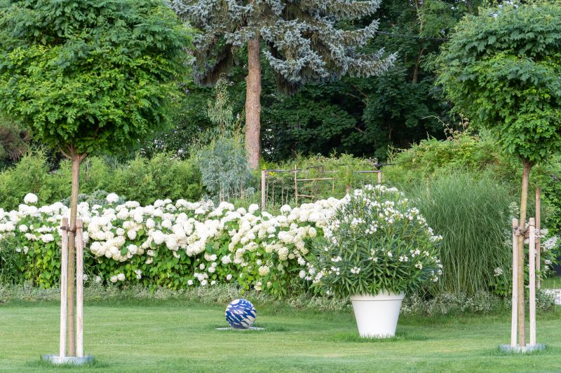 Finished Landscape with Lush Greenery